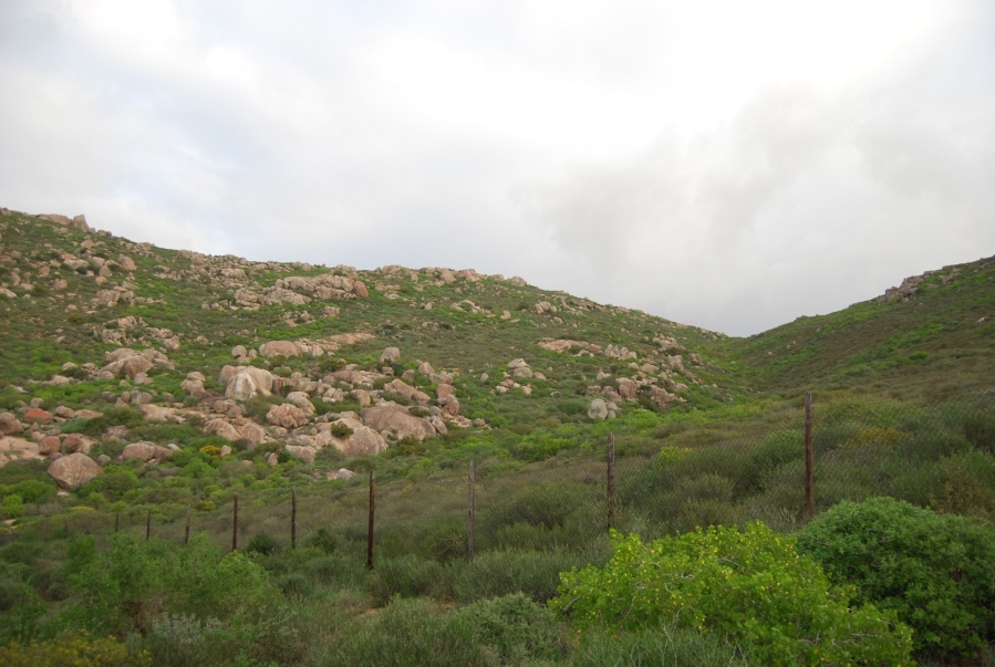 0 Bedroom Property for Sale in Steenbergs Cove Western Cape